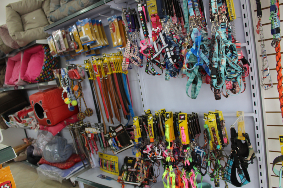 Notre Dame I Pet Shop